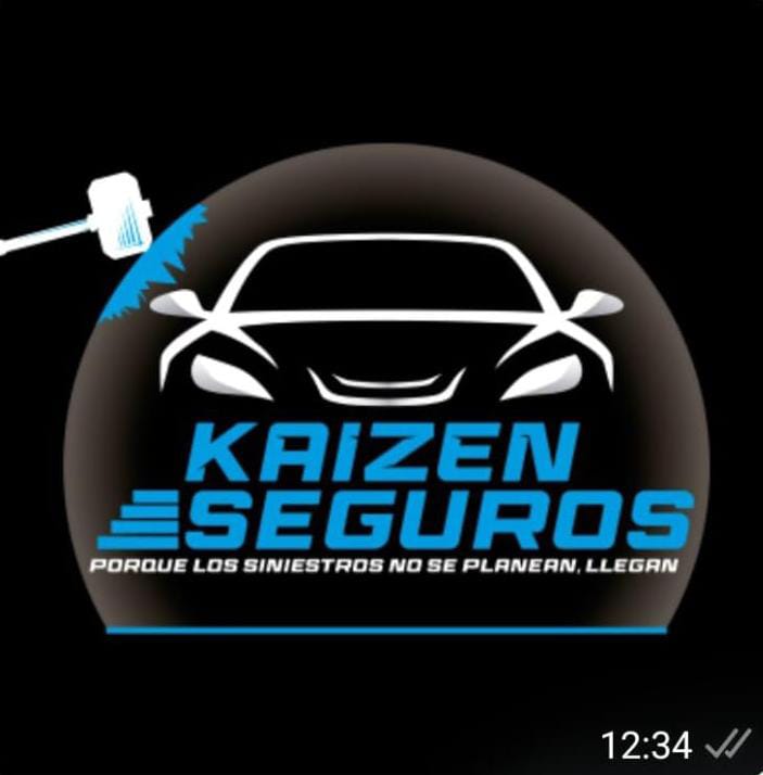 Asistencia de Seguros